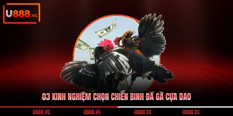 03-kinh-nghiem-chon-chien-binh-da-ga-cua-dao