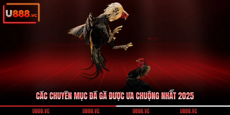 cac-chuyen-muc-da-ga-duoc-ua-chuong-nhat-2025