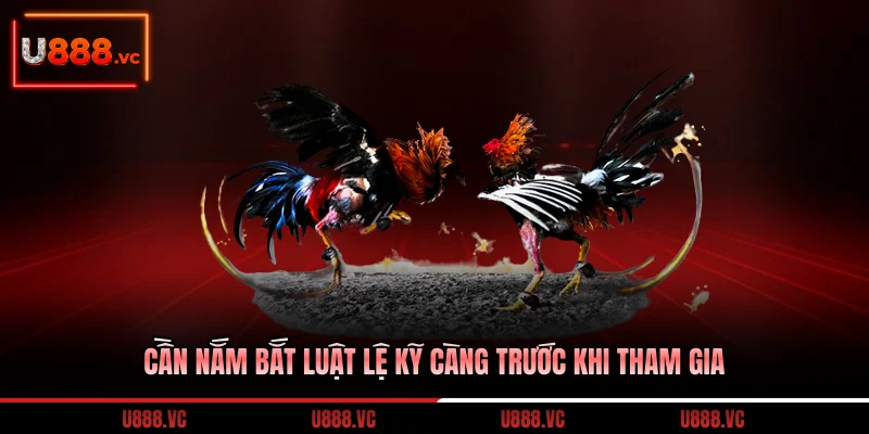can-nam-bat-luat-le-ky-cang-truoc-khi-tham-gia