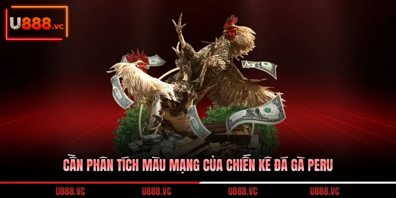 can-phan-tich-mau-mang-cua-chien-ke-da-ga-peru